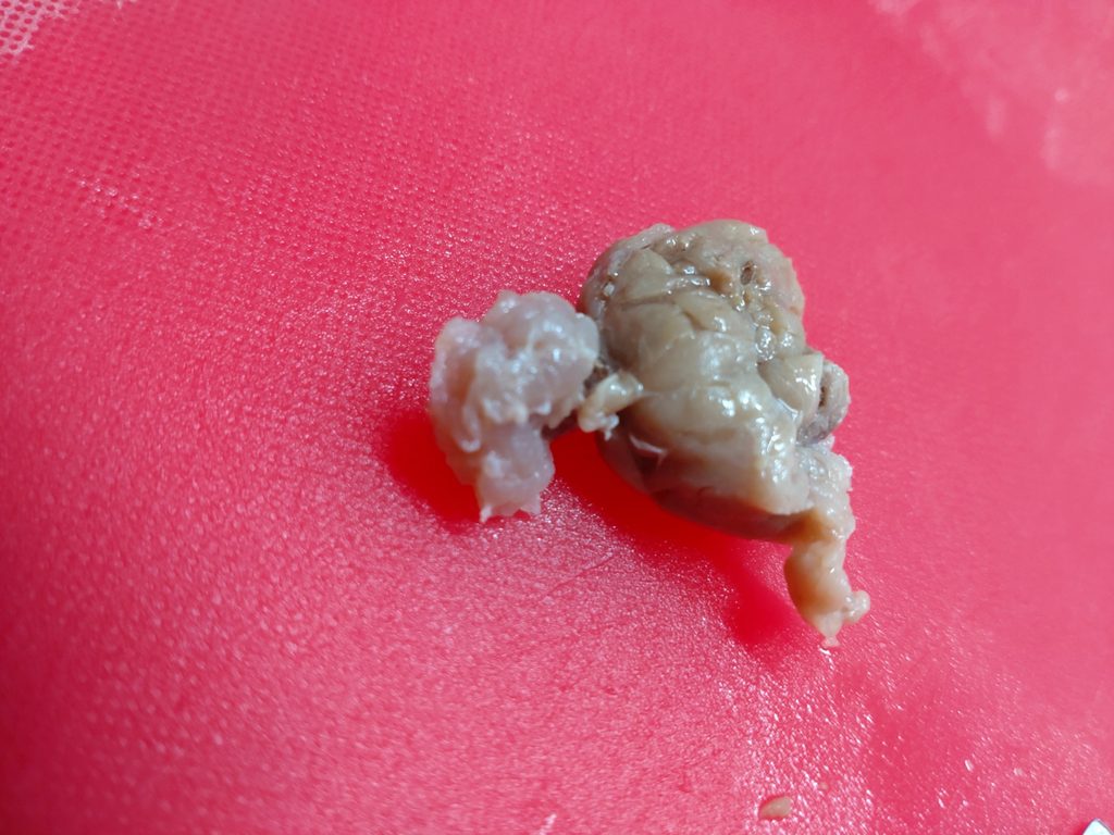 茹でた牛すじ