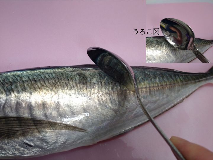 あじのうろことり
