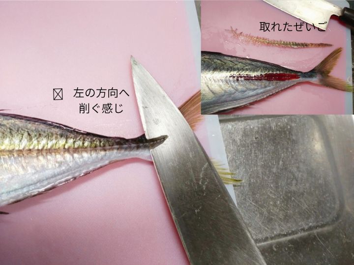 あじのぜいごとり