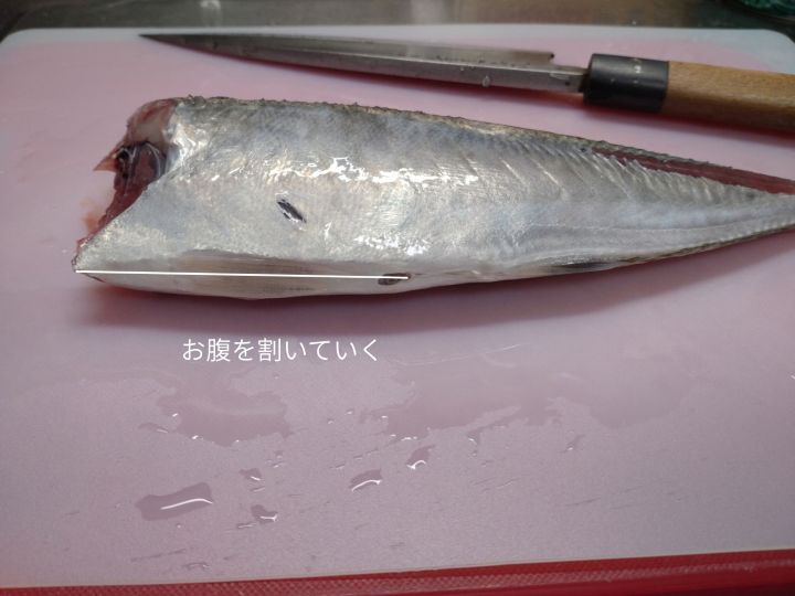 アジのお腹を割く