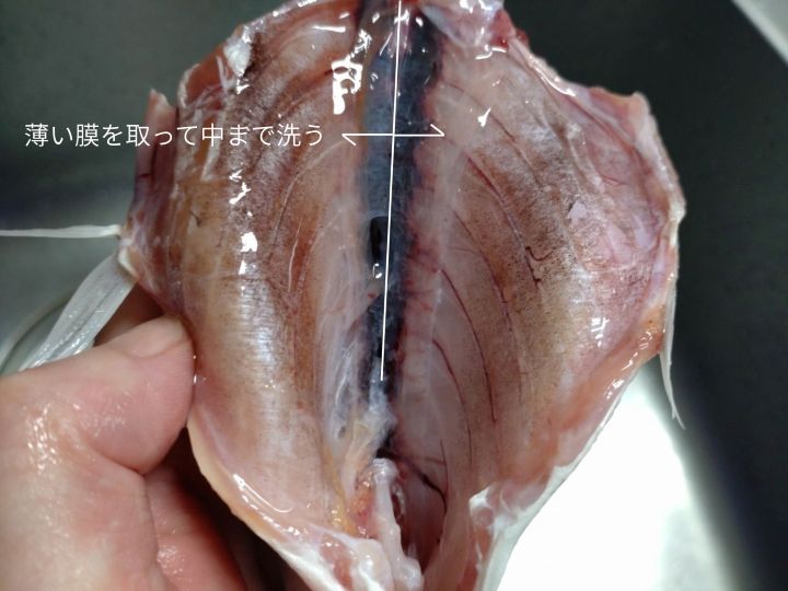 アジの腹の中