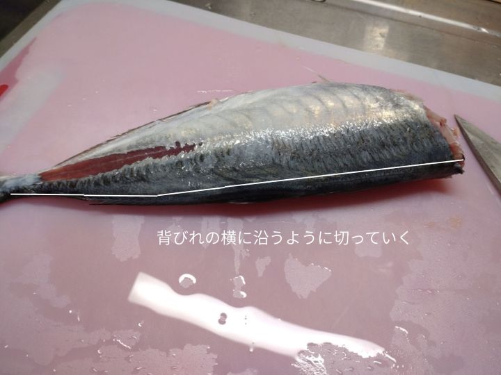 アジの背から開く