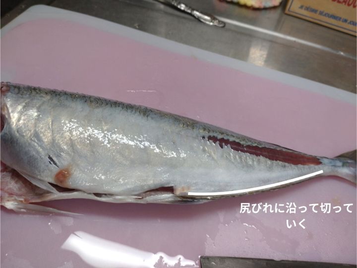 アジの腹からおろす