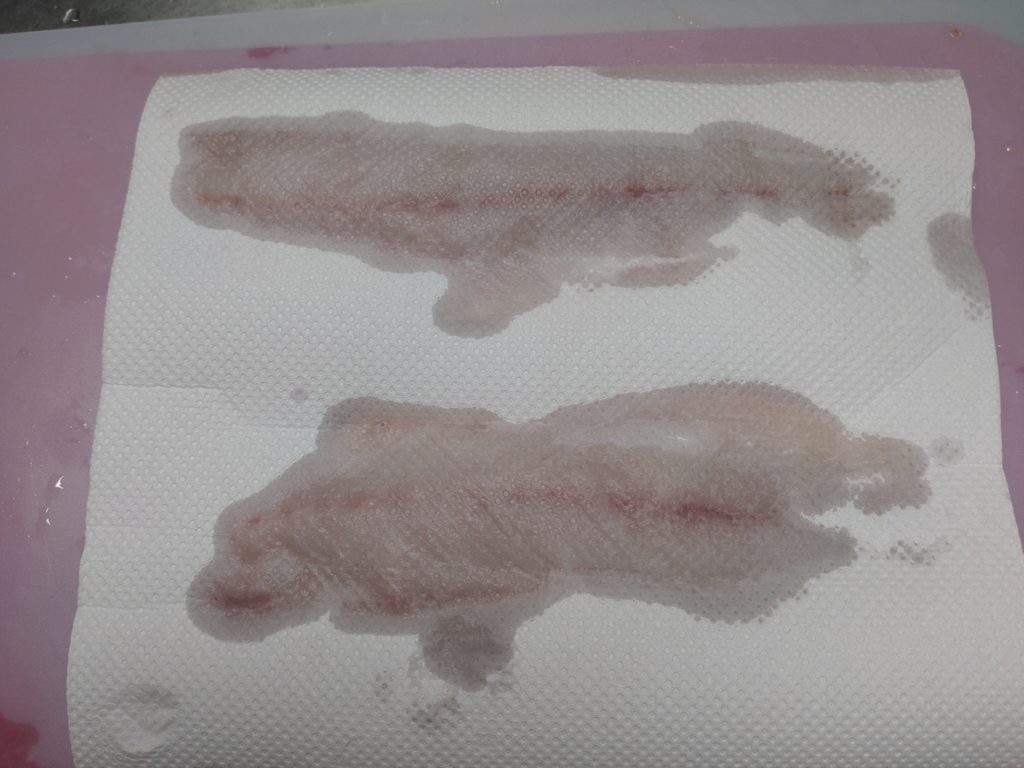 アジペーパー